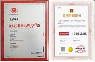 創變步伐碩果累累，大自然家居實力升級迎新年