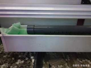 為什麼主要一喂魚，水質就無法調理，主要原因有三