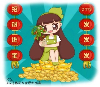 現在養盆招財花，2018年發發發，財運福氣擋不住！