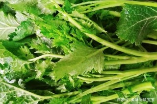 涼拌芥菜、芥菜絲鹹菜和芥菜魚腩湯這樣做，廚房小白都會做