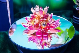 借力網紅直播，番禺珠寶探索直播新業態