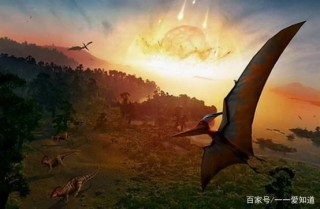 巴拿馬猴學會用石器，人類恐成後浪，科學家：人類文明無可替代
