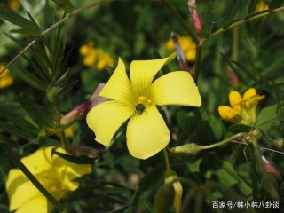 10月開始，姻緣際會，舊愛回眸，餘生和幸福有約的星座！