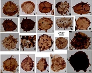 3.6億年前災難會重現嗎？臭氧空洞擴大，全球變暖引發物種大滅絕