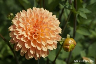 3月：情思萌動，心之所向，思念舊情，將與前任牽手在愛的星座