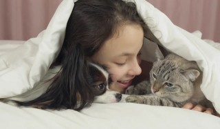 1億只貓狗的生意爭奪戰，誰是寵物經濟新晉獨角獸？