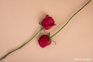 公開12星座注定愛上的他是誰，你的幸福就是他