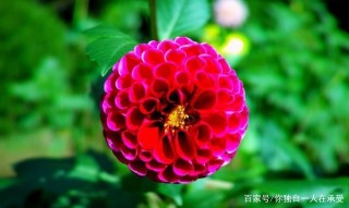 好運永遠伴隨著你，生活是充滿希望，歡迎美好生活的四個星座