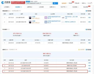 奇點汽車創始人沈海寅被限制消費