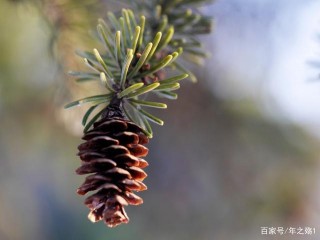 未來20天春暖桃花開，收獲真愛，感情天長地久，琴瑟相依的4星座