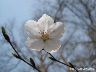 一周後，相思綿綿，思念如海，月老助力，三大星座，將重拾舊愛