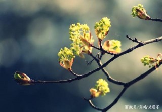 六月中旬，良緣牽絆，愛情繼續，三生肖月老送祝福，桃花助姻緣