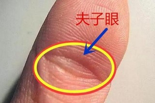 女性拇指有夫子眼，註定旺夫旺子！婚姻美滿