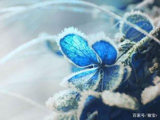熬走大難趕走黴運，最近一周3星座大賺橫財，生活注定會大富大貴