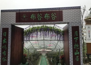去四川廣元旅遊，哪些特色景點不容錯過，看了這些才不算白來