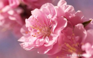 9月底，無怨無悔，今生相隨，四大星座勇敢回頭，攜手舊愛到白頭