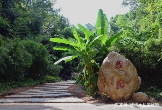 長沙鬧市有個浪漫溫馨地，純天然自然風景，新晉網紅打卡地！