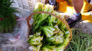 這水果全身都是寶，很多人只吃果實，其實“花朵”才是寶貝，不懂吃真可惜！