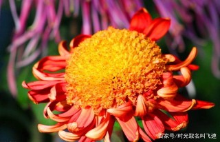 11月，運氣很旺，真愛在身邊，4星座桃花運旺盛，順利脫單