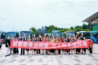 萬人暢遊新竹海 蜀南竹海按下跨省旅遊“快進鍵”