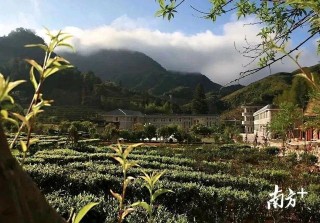 「旅遊」梅州新增4家3A級景區！總數達39家，位居全省第二