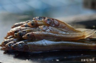 九江武寧的特色美食“棍子魚”，肉質堅實，味道鮮美，你吃過嗎？
