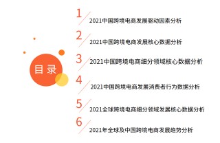 2021全球及跨境電商運營數據及典型企業分析研究報告