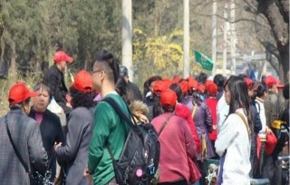 「特價團」遍地開花，幾百塊錢三天游，旅行社靠什麼賺錢？