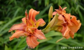 在9月中間，我遇到了愛情、婚姻和恩愛纏綿的四個星座