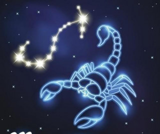 在感情中容易高傲的星座