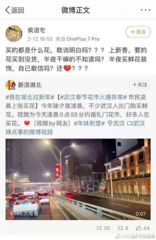 不懂地方文化鬧笑話：武漢初一的花市熱鬧？南京的城牆得爬？