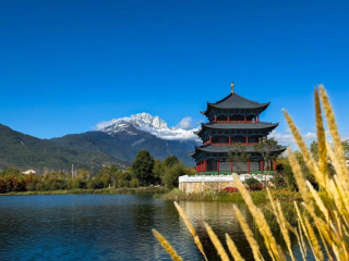 雲南五日遊必看：情侶的省錢攻略，本地金牌導遊帶你遊必去景點，不踩雷！_古城_前往_香格裏拉