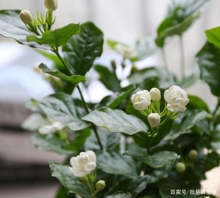 如何養好夏天害怕“四點”？現在學還不算晚