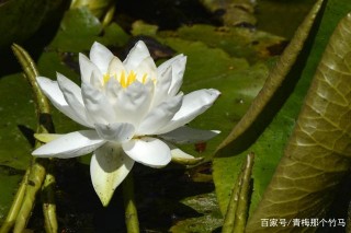 12月初，冬雪紛紛，4星座舊情再續，用真愛溫暖這個冬天