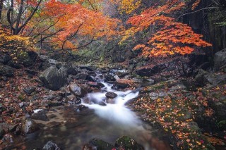 1.23每日星座運勢差榜，處女座要照顧戀人的情緒，多點包容和理解