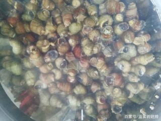 可開店的網紅美食一柳州鴨腳螺螄煲