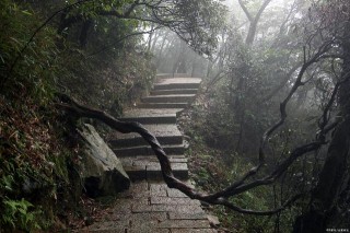宛如仙境，郴州莽山，又一個被忽視的旅遊景點
