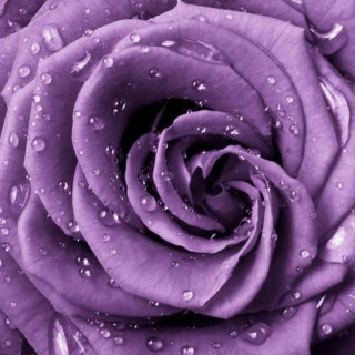 本月下旬，姻緣滿滿桃花纏身，愛情甜如蜜，婚姻可期