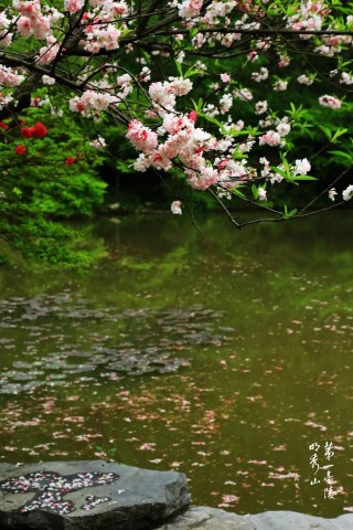 日暮風起，雨霽拾花！如今的棲霞山美得斑斕且低調