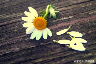這些星座，具有雙重性格，愛恨分明，讓人猜不透