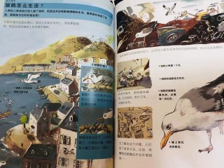 書評｜《十萬個為什麼·法國版》：探索世界，從趣味問答開始