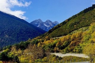 四川四處最值得人們去的地方，樂山大佛莊嚴肅穆，熊貓可愛動人