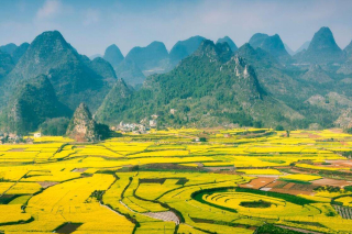 早春旅行，可以開始准備，去這些春天最早到達的地方_油菜花_櫻花_桃花