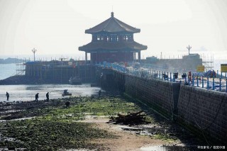 青島有歷史意義且浪漫的碼頭，海鷗相伴，網友稱：“太美啦”