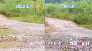 雞蛋30米高處摔下不破、汽車撞牆幾乎無損傷、鋼板千度燒不透……是真的嗎？