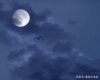 這些星座天生適合做領導，有頭腦城府深，是人群中的佼佼者