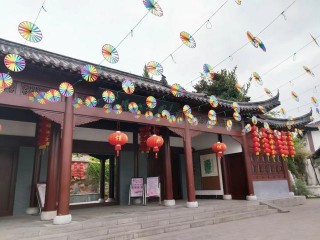 【江蘇的花·櫻花篇】2：櫻為有你 所以有緣—鎮江寶塔山櫻花節