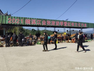 永嘉這個村3800棵柿子樹紅了！美食美景！安排！