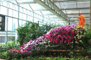 還愁孩子沒地方玩？高科技景觀+研學實踐，秋天旅遊到山西這莊園