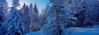 雪博會沒嗨夠？來這！許你冰雪霧凇溫泉一站游遍